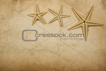 Sepia Starfish Paper