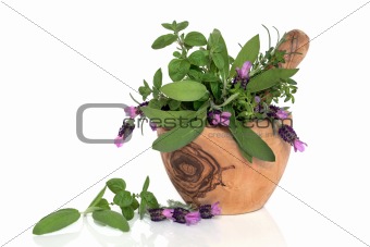 Lavender Flowers and Herb Leaves