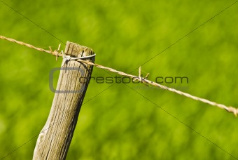 Old fence pole with green background