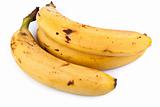 high resolution photo of  bananas