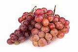 high resolution photo of dark grapes on white
