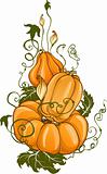 Pumpkins composition