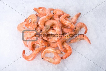 King shrimps 