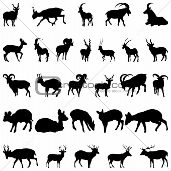 deer and goats silhouettes set