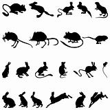 rodents silhouettes