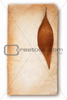 Old Paper and Autumn Leaf