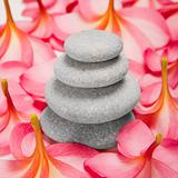 Pebble stack and Flowers