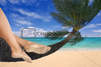 Girl Dangling Her Feet on a Palm Tree