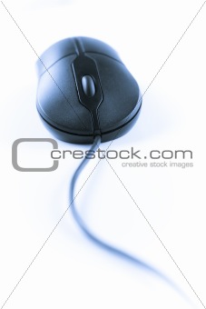 Black mouse on white background