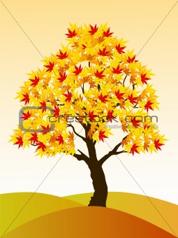 Autumn tree and background