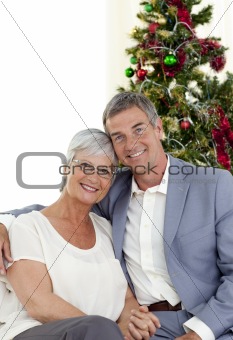 Portrait of mature couple celebrating Christmas