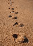 footsteps in sand