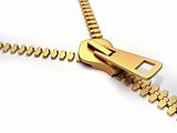Gold zipper