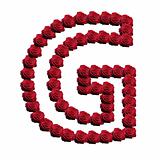 Rose blossoms forming the alphabet uppercase letter G