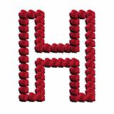 Rose blossoms forming the alphabet uppercase letter H
