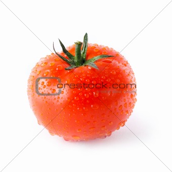 Red tomato with water drops