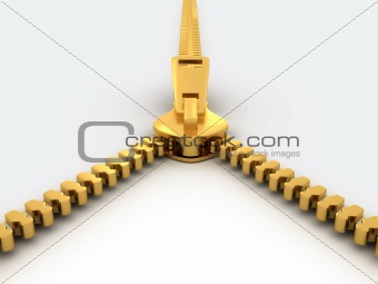 Golden zipper