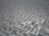 Lost in maze