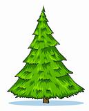 Green natural christmas tree illustration