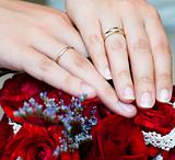 Wedding rings on the hands