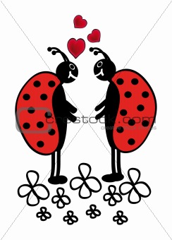 two ladybugs