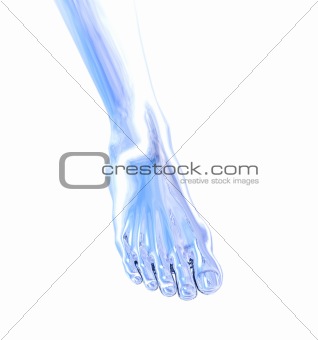 metal foot