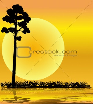 background with tree