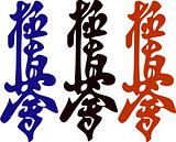HIEROGLYPH  kanji kyokushinkai KARATE