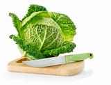 fresh green cabbage on board with knife