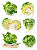 set fresh green cabbage fruits isolated on white