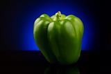 Green sweet pepper on blue background