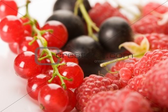 raspberry and currant 