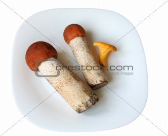 Mushrooms on a plate