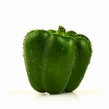 Green sweet pepper on white