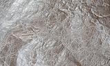 texture of silver foil close up view