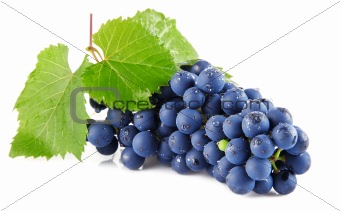 blue grape fruits with leaves isolated on white
