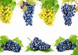 set blue and yellow grape fruits with leaves
