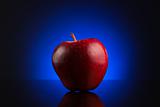 Red apple on dark blue background