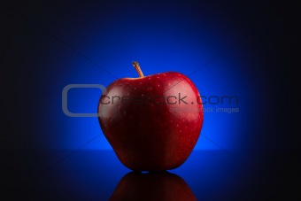 Red apple on dark blue background