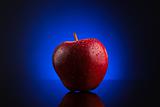 Red apple with water drops on dark blue background