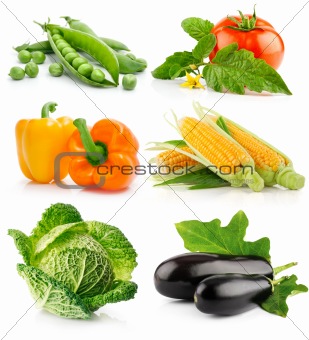 set of vegetable fruits isolated on white