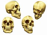 Collage of isolated gold skulls