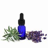 Lavender Herb Essence