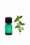 Peppermint Leaf and Essence