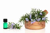 Rosemary Herb and Essence
