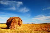 Straw bale on the field
