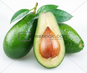 Avocado with leaves on a white background