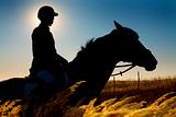 Jockey  and horse silhouettes in the field in summertime