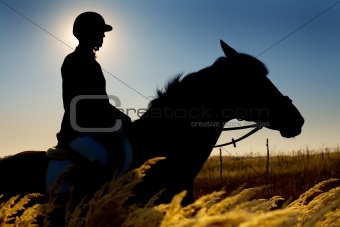 Jockey  and horse silhouettes in the field in summertime