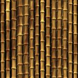 Bamboo plants wallpaper
